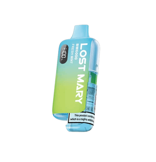 Lost Mary BM6000 Prefilled Pod Kit – Fresh Mint 20mg