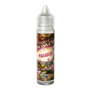 Twelve Monkeys – Paradise