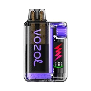 Vozol Vista Plug Starter Kit 10000 – Grape Ice