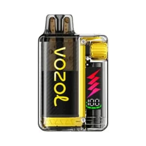 Vozol Vista Plug Starter Kit 10000 – Mango Ice