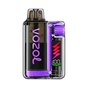 Vozol Vista Plug Starter Kit 10000 – Blueberry