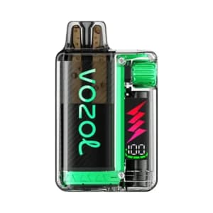 Vozol Vista Plug Starter Kit 10000 – Watermelon Ice